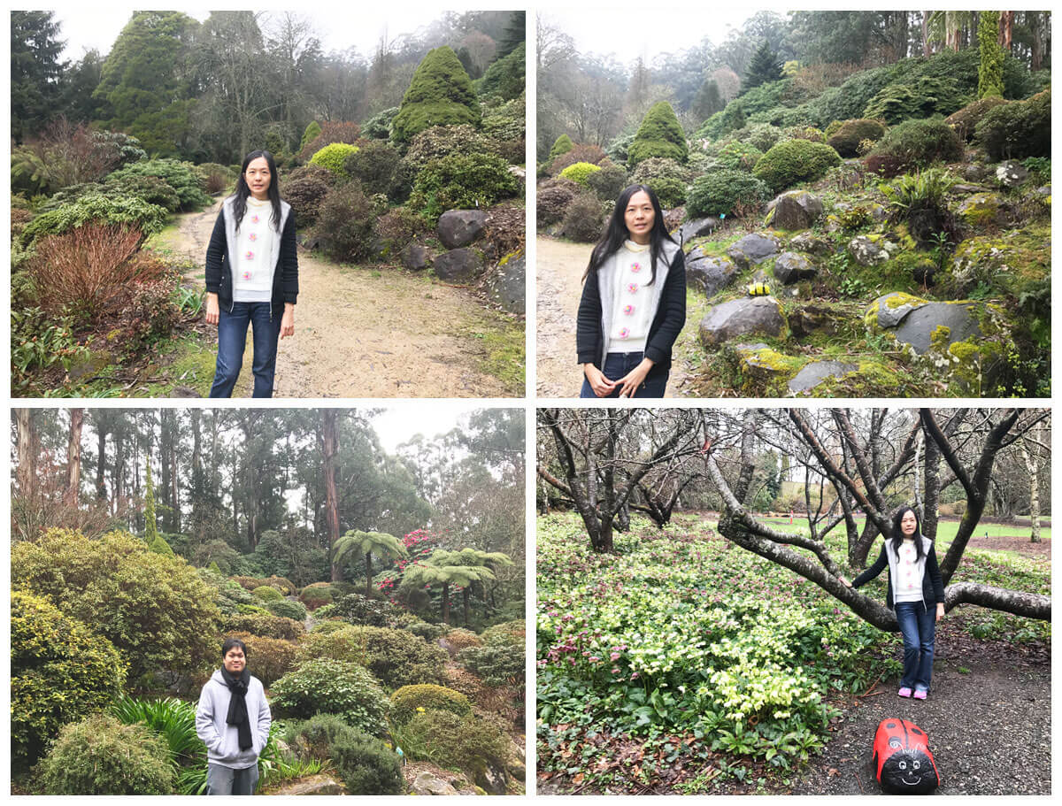 【墨爾本自由行攻略】7天6夜澳洲墨爾本自駕游一篇搞定!Melbourne 11 墨尔本景点国家杜鹃花园