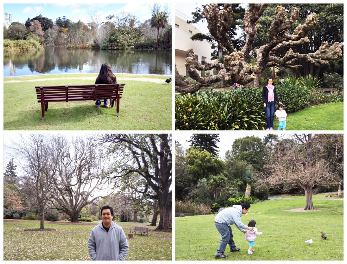 【墨爾本自由行攻略】7天6夜澳洲墨爾本自駕游一篇搞定!Melbourne 13 Royal Botanic Gardens