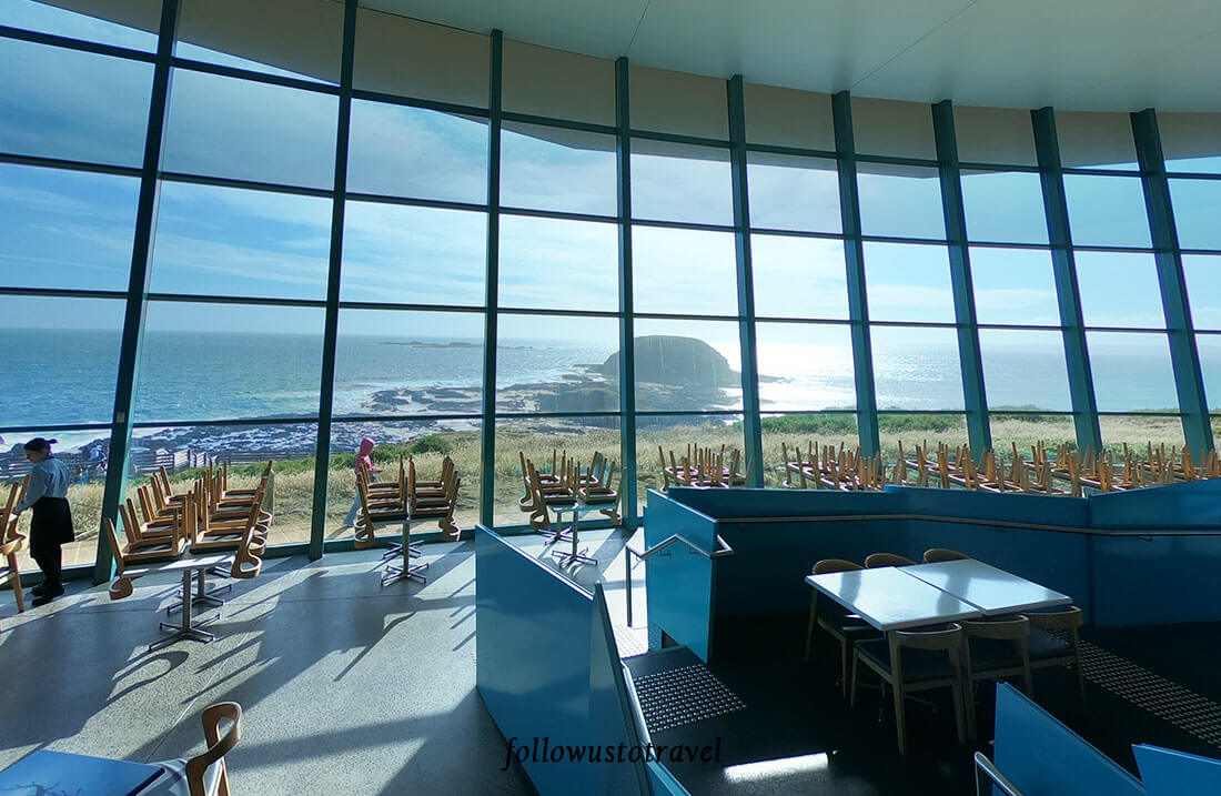 菲利普景点 The Nobbies Centre