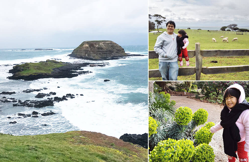 【墨爾本自由行攻略】7天6夜澳洲墨爾本自駕游一篇搞定!Melbourne 19 australia philipisland trip