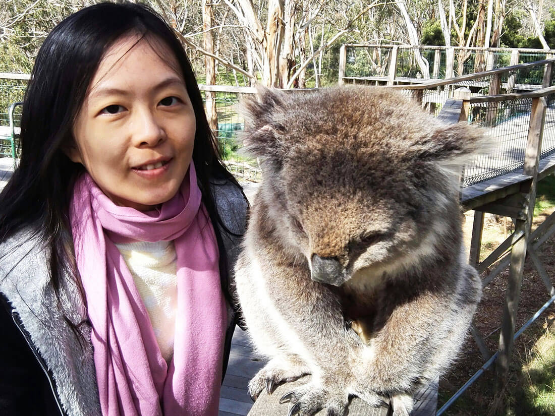 菲利普岛景点 Koala Convention Center