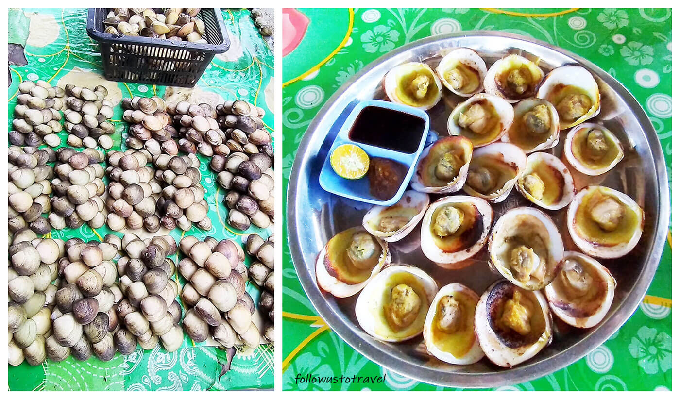 【2025沙巴美食】最新!沙巴亞庇美食攻略 在地人推薦的沙巴必吃 23 沙巴烤鮮蚌