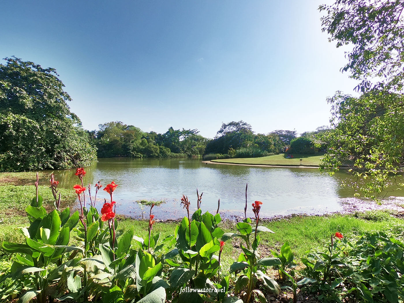 【2026新加坡景點】最新22個新加坡景點地圖,搭地鐵玩透透! 19 新加坡植物园