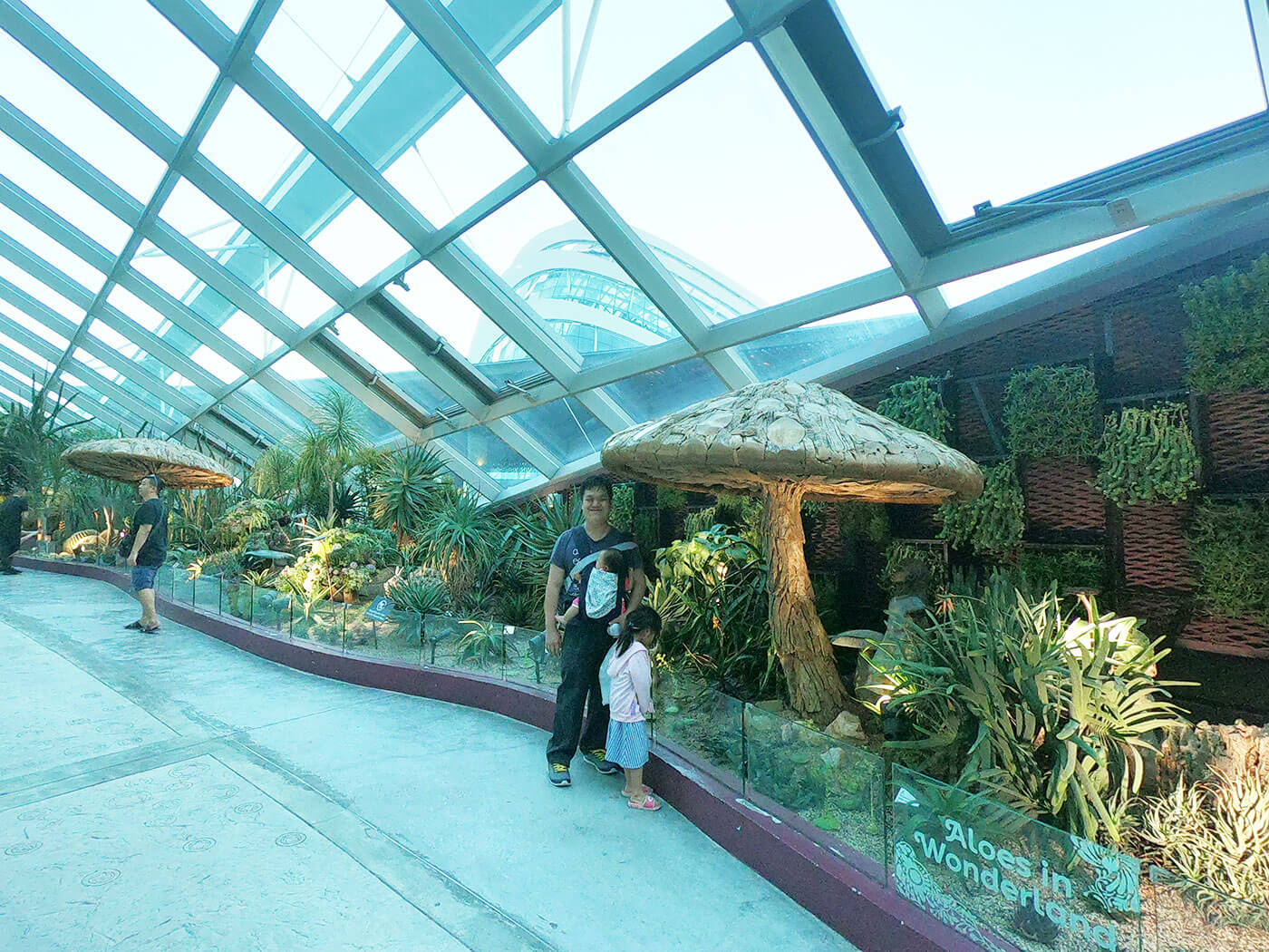 花穹非洲沙漠气候