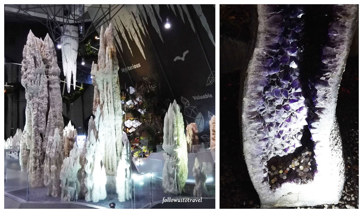 新加坡必去景点云雾林