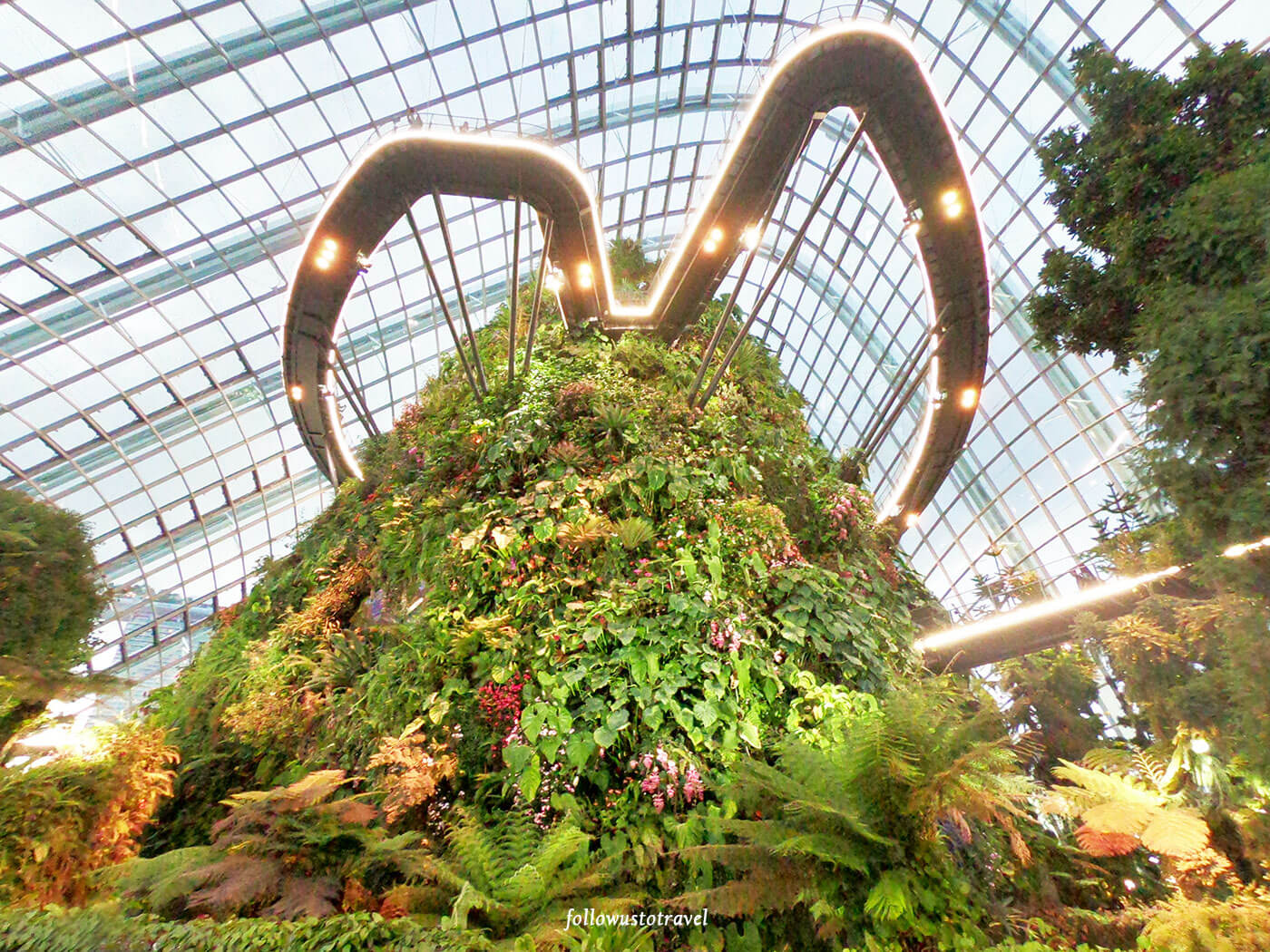 云雾林空中步道