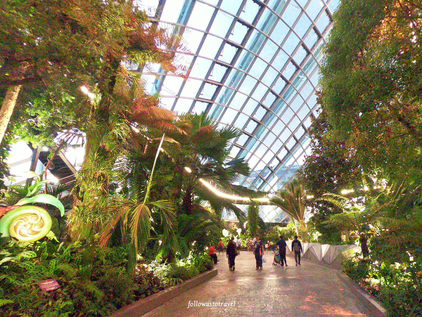新加坡濱海灣花園云雲霧林