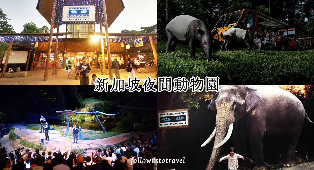新加坡景点 singapore night safari