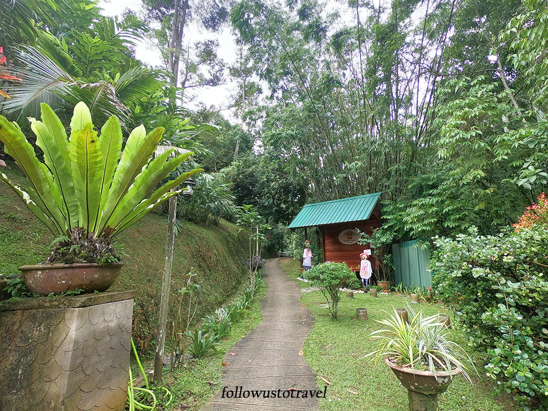 【彭亨文冬旅遊】文冬好吃好玩的大自然景點 Janda baik 2 Pahang Garden Farms By Radiant