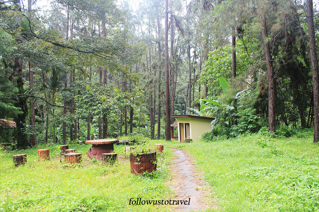 【彭亨文冬旅遊】文冬好吃好玩的大自然景點 Janda baik 10 彭亨文冬森林公园