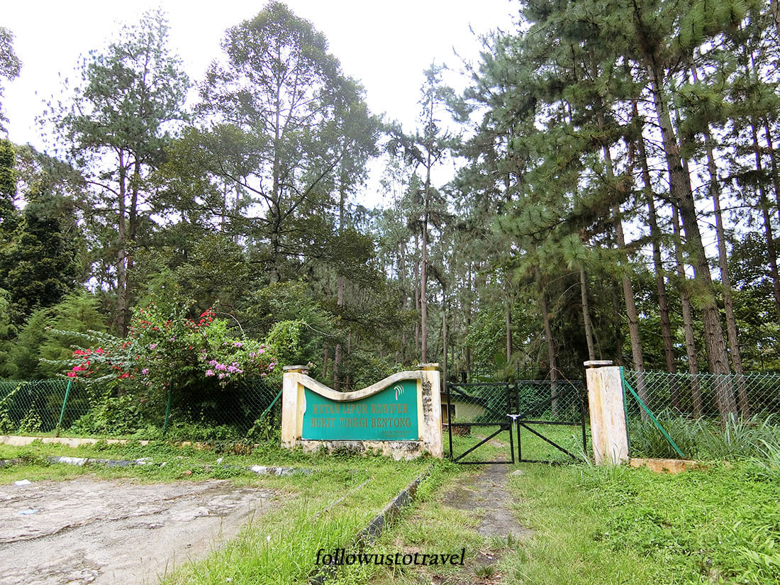 【彭亨文冬旅遊】文冬好吃好玩的大自然景點 Janda baik 8 彭亨文冬森林公园