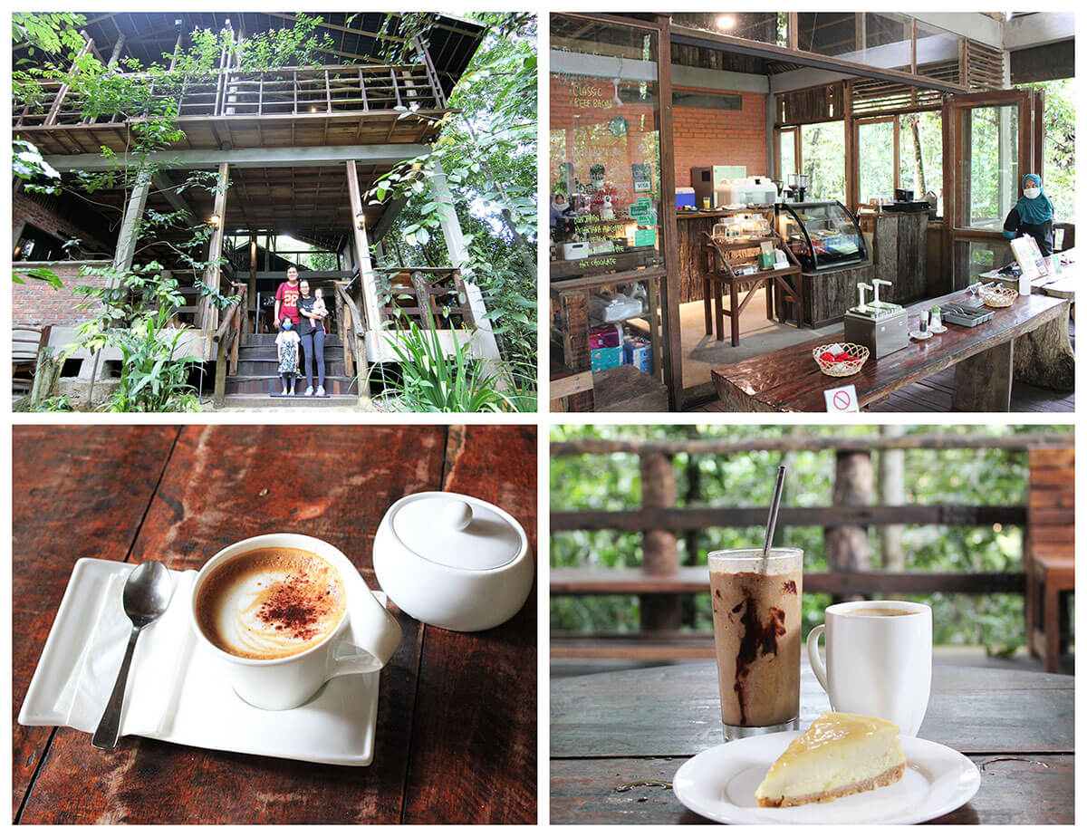 【彭亨文冬旅遊】文冬好吃好玩的大自然景點 Janda baik 7 彭亨文冬咖啡厅 pinto coffee