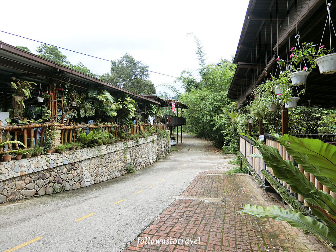 【彭亨文冬旅遊】文冬好吃好玩的大自然景點 Janda baik 3 文冬美食桃源谷美食
