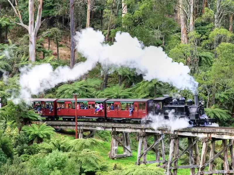 【墨爾本自由行攻略】7天6夜澳洲墨爾本自駕游一篇搞定!Melbourne 20 墨爾本自由行普芬比利蒸汽火車