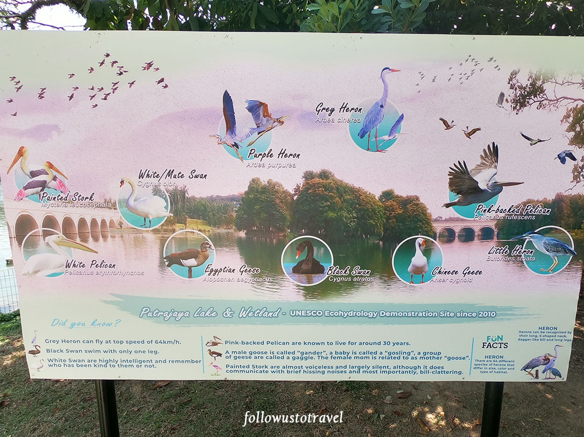 布城景点天鹅甲板