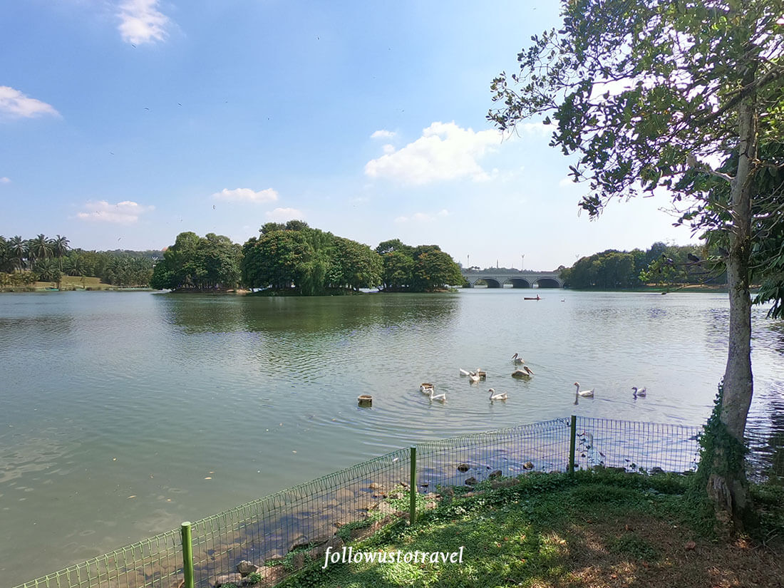 布城好玩景点swan deck