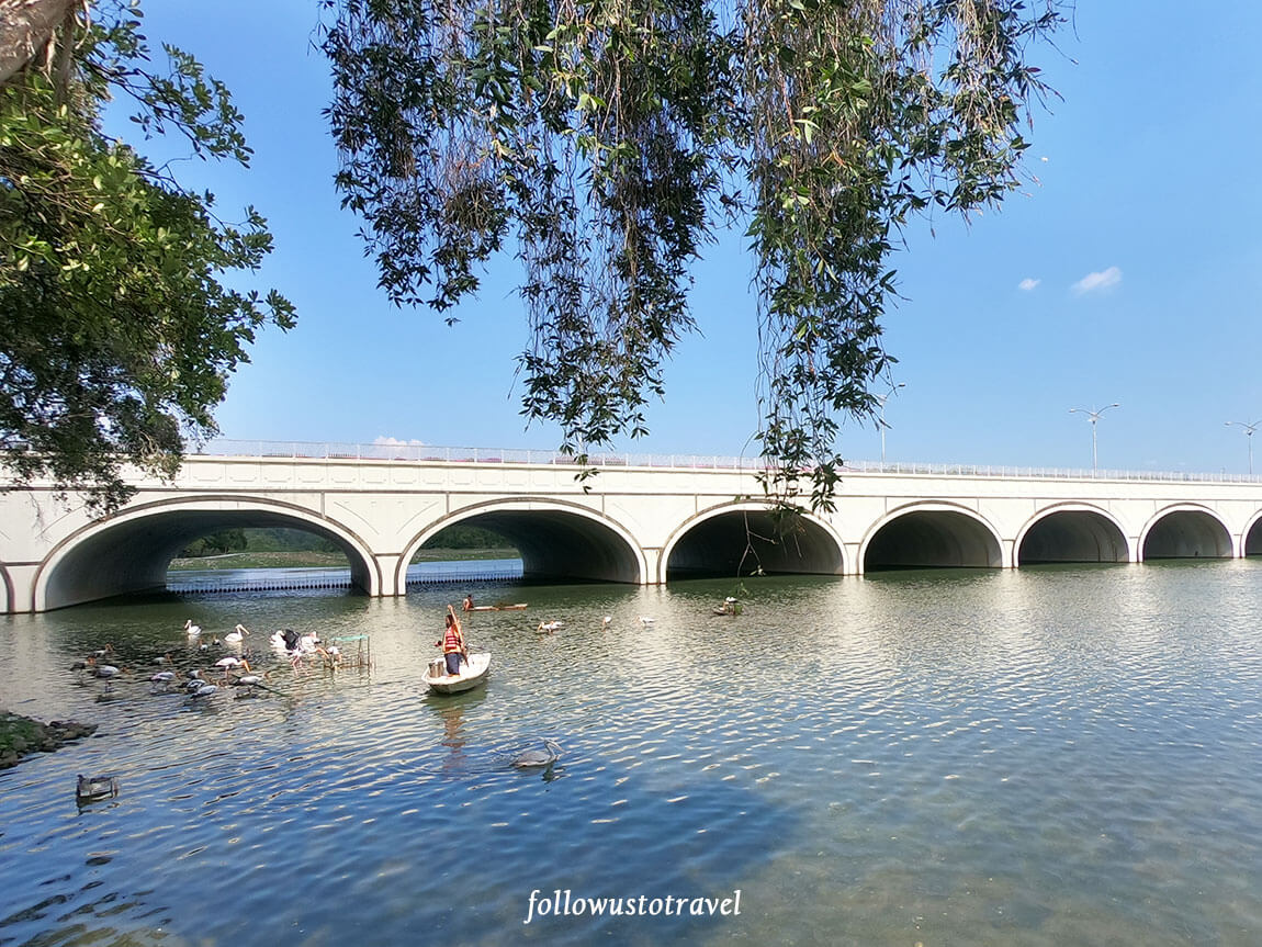 布城好玩景点天鹅甲板