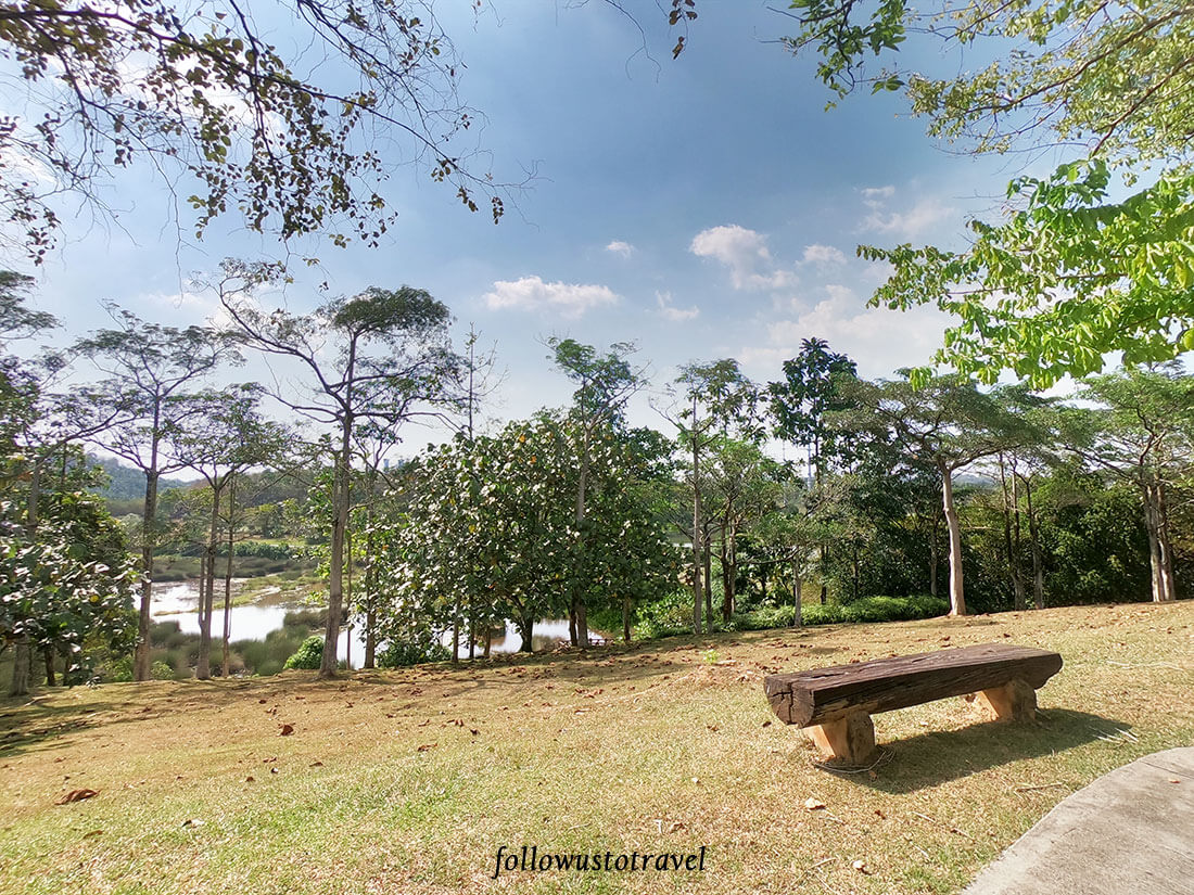 布城湿地公园野餐
