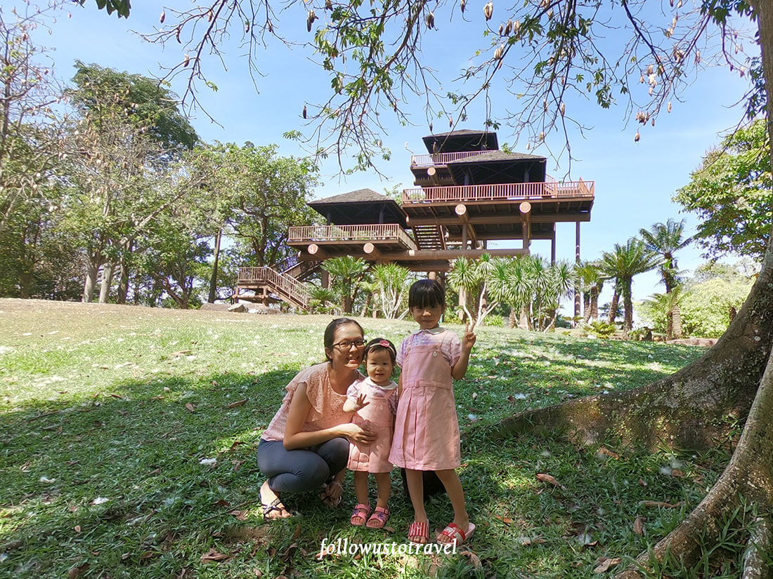 布城濕地公園木棉樹