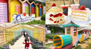 金马伦打卡景点 green view garden