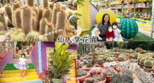 金马伦景点仙人掌花园