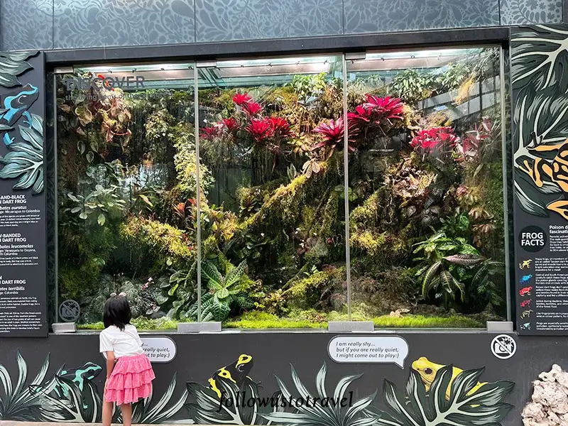 濱海灣花園 floral fantasy