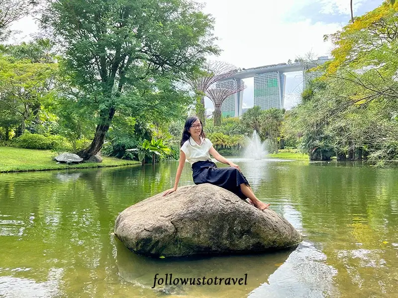 濱海灣花園睡蓮池 Water Lily Pond