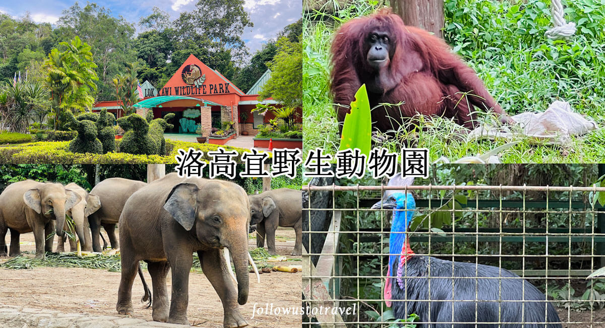 沙巴洛高宜野生動物園