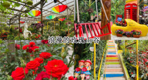 金马伦景点玫瑰山谷