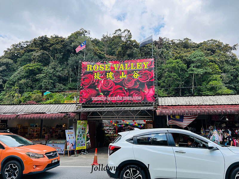 金马伦景点rose valley