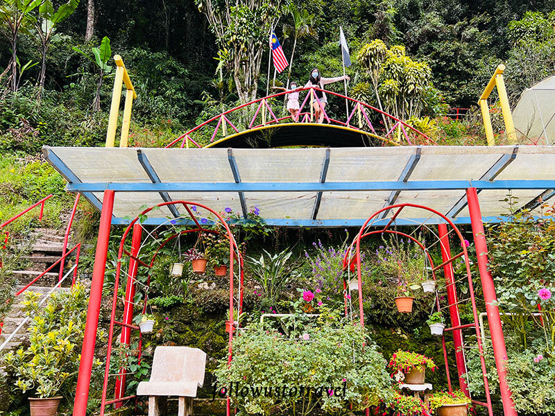 金马伦景点玫瑰山谷