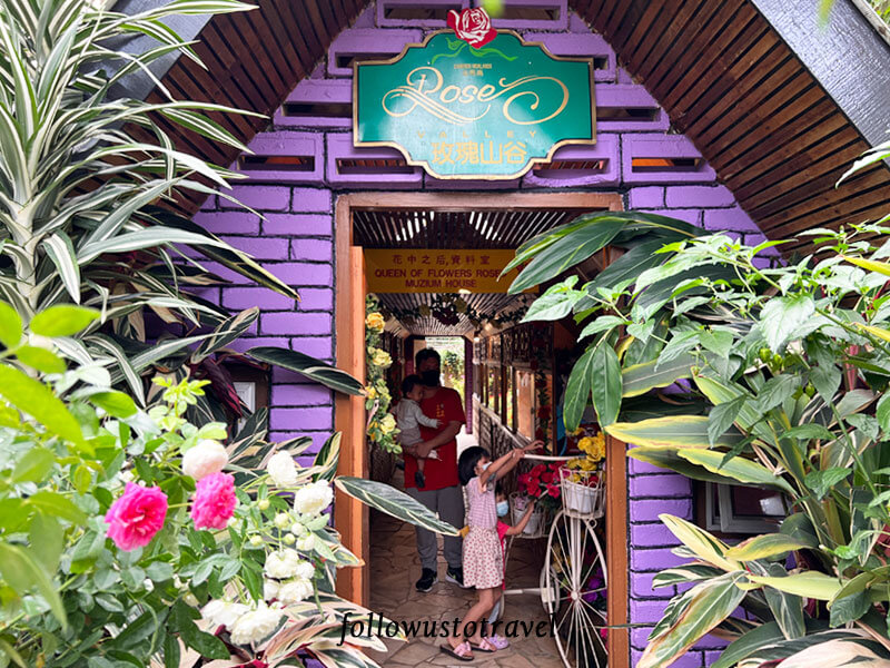 金馬倫玫瑰博物館