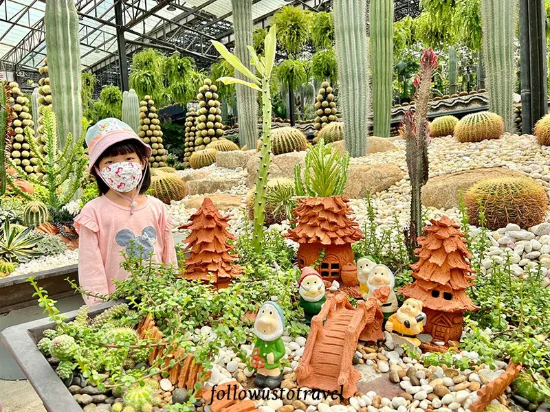 芭提雅景点 东芭乐园仙人掌园