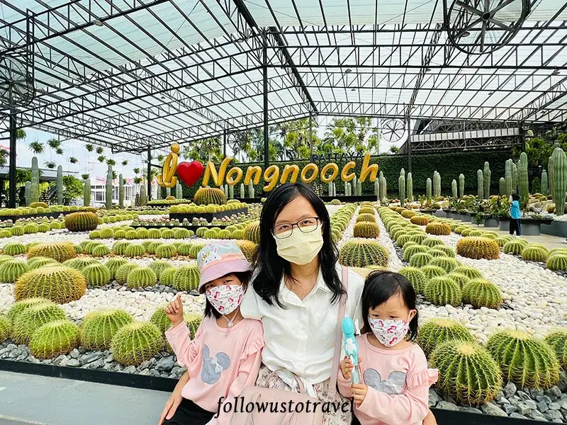 芭提雅景点 东芭乐园仙人掌园