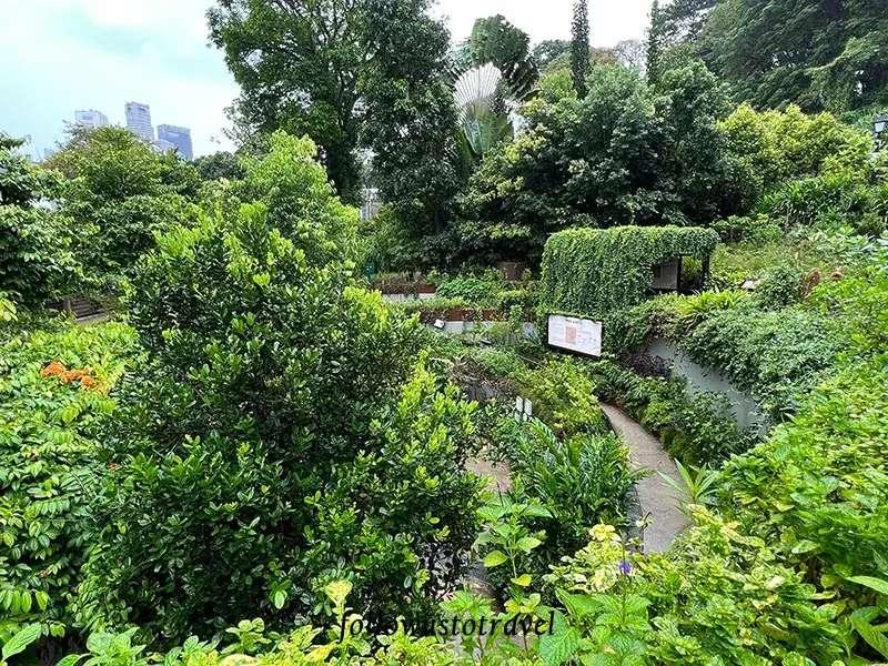福康寧公園香料園