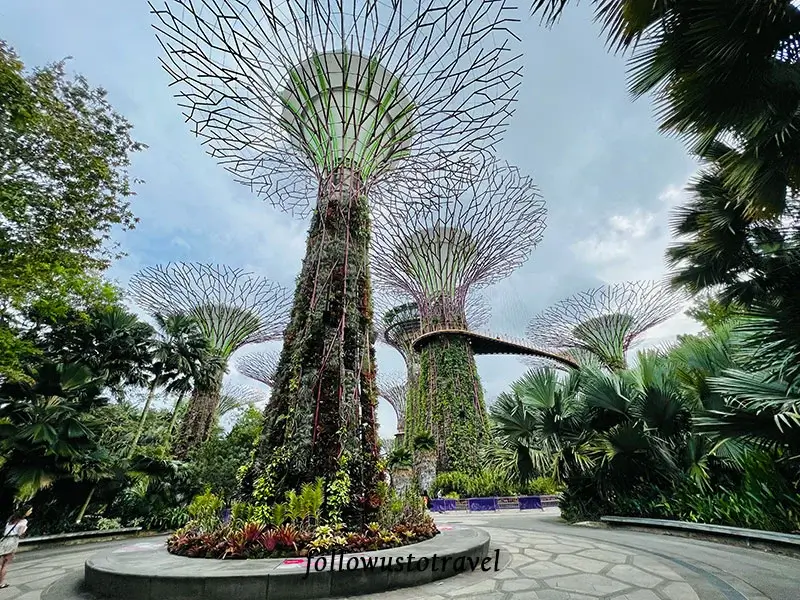 新加坡濱海灣花園超級樹