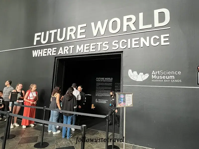 新加坡藝術科學博物館 teamlab