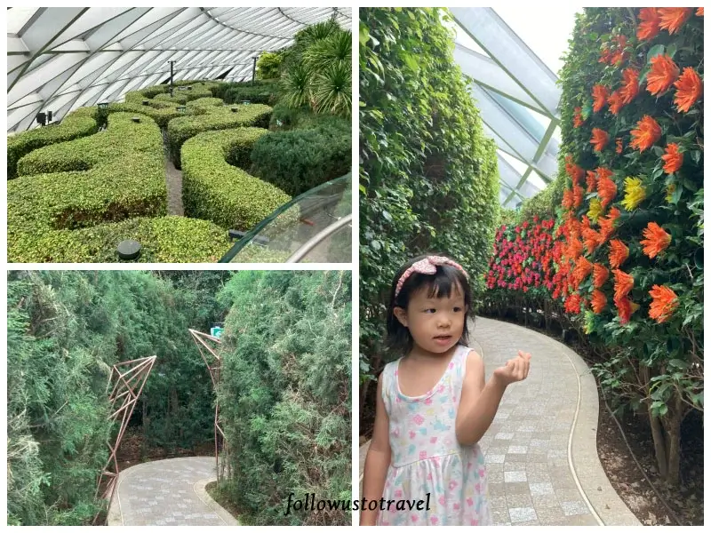 星空花園樹籬迷宮 Hedge Maze 