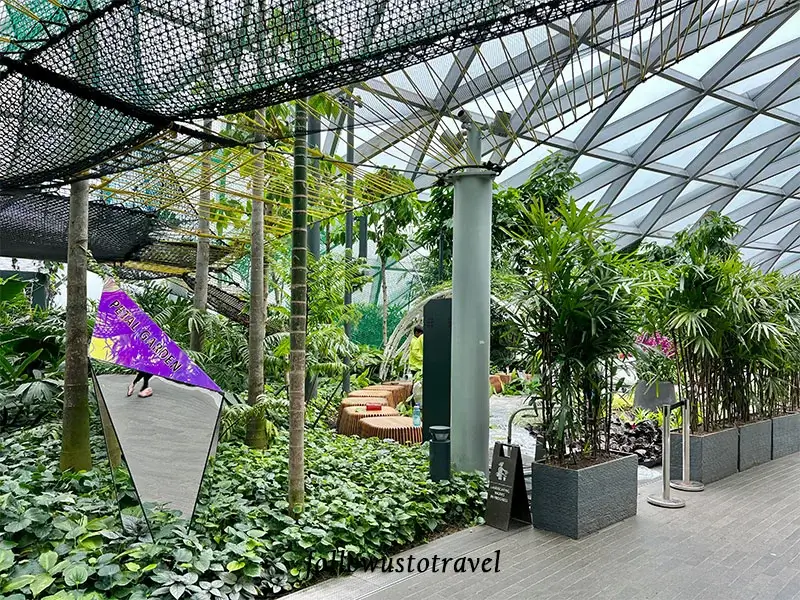 星空花園花卉園 Petal Garden