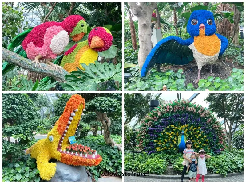 星空花園灌木花園