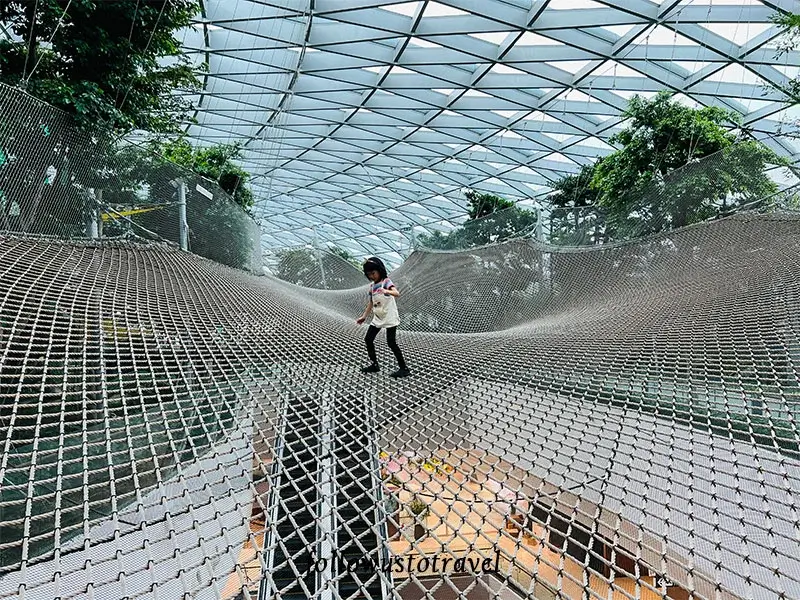 星空花園網狀步道 Walking Net 