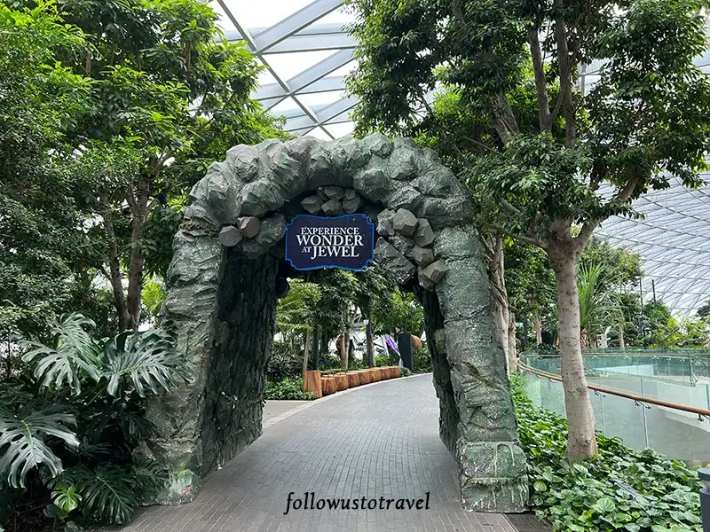 新加坡星耀樟宜機場5樓星空花園