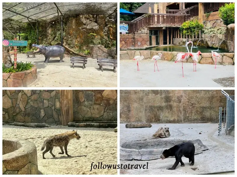 迷失樂園河馬王國 Hippo Kingdom