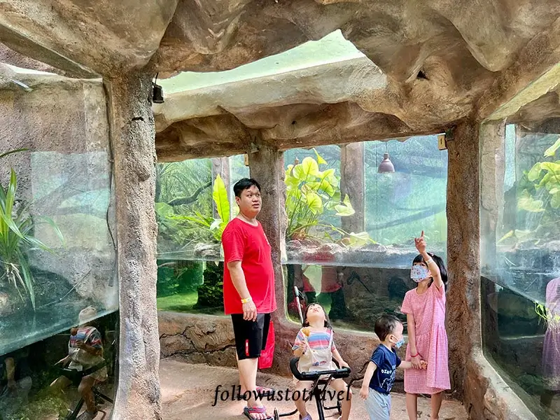 迷失樂園 petting zoo