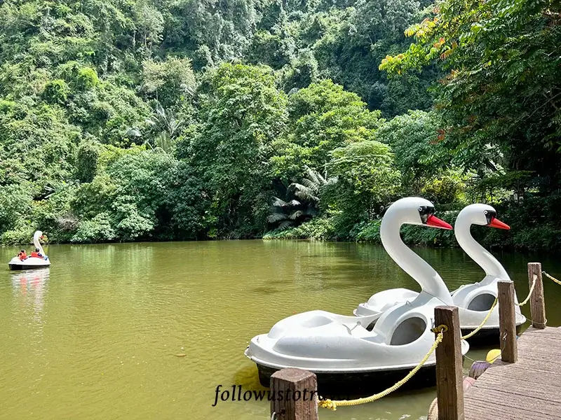 怡保迷失樂園天鵝湖