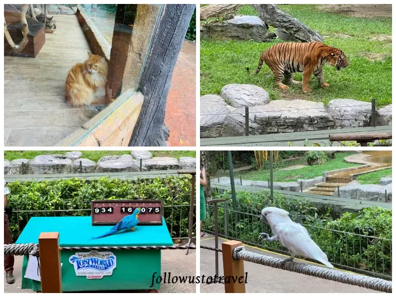 怡保迷失樂園 tiger valley