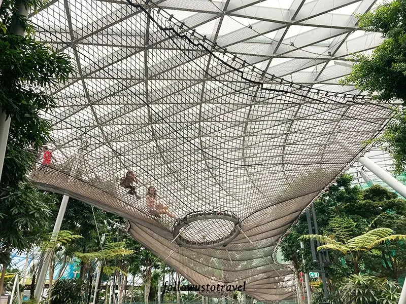 星空花園網狀步道 Walking Net