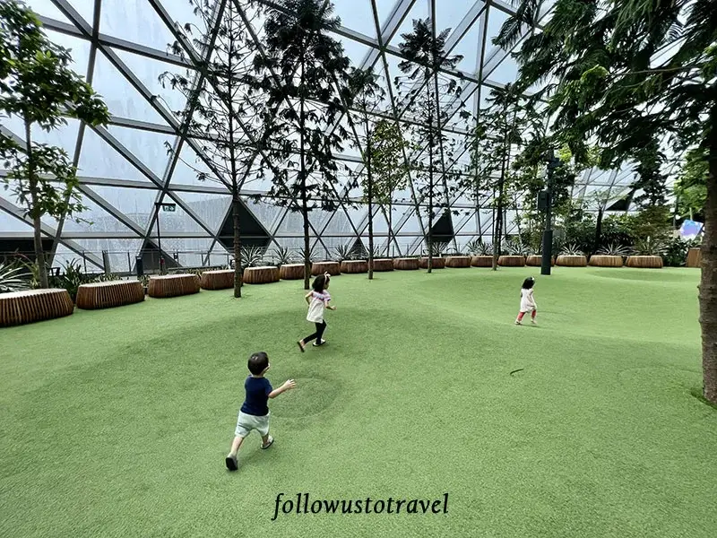 星空花園雲霧碗 Foggy Bowl