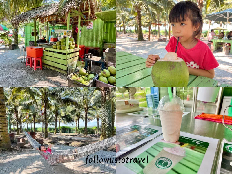 Sekinchan美食椰子冰沙 Sekinchan Coconut Farm