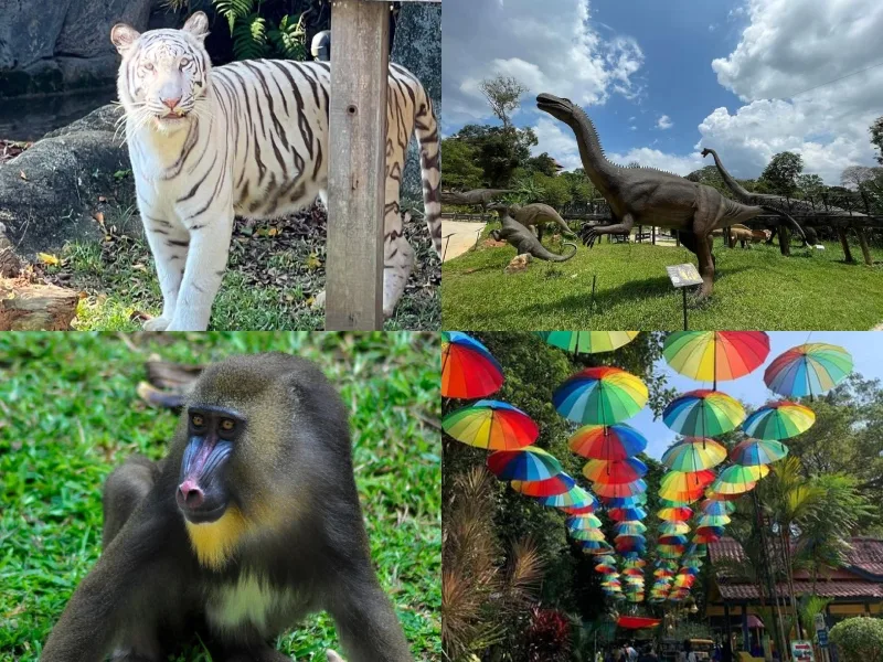 马六甲景点马六甲动物园 zoo melaka